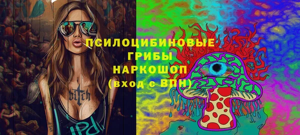 эйфоретик Медвежьегорск